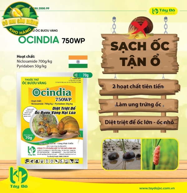 OCINDIA 750WP