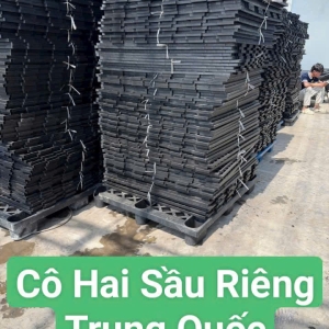 vi-lan-lot-mit-chat-luong-cao-kho-hang-vat-tu-co-hai