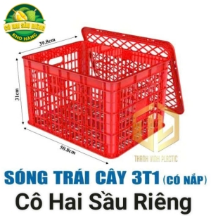 Sóng Trái Cây 3T1 (Có nắp)