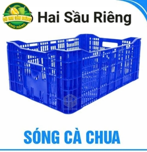 Sóng Cà Chua