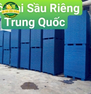 Pallet Nhựa Cô Hai