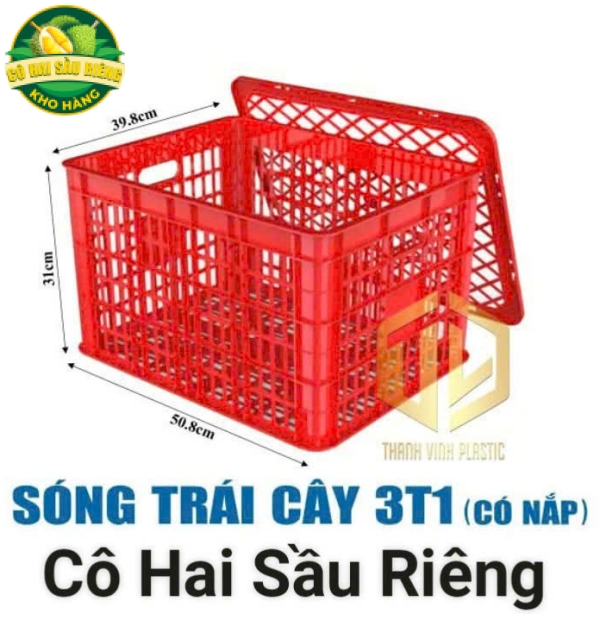 Sóng Trái Cây 3T1 (Có nắp)