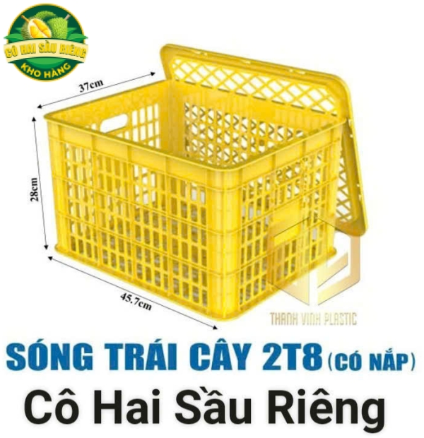 Sóng Trái Cây 2T8 (Có Nắp)