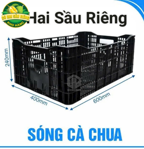 Sóng Cà Chua