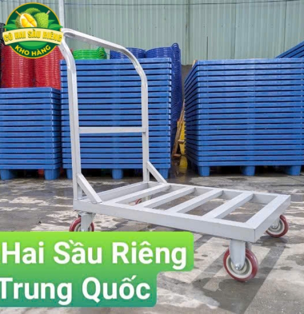 Xe Đẩy Hàng