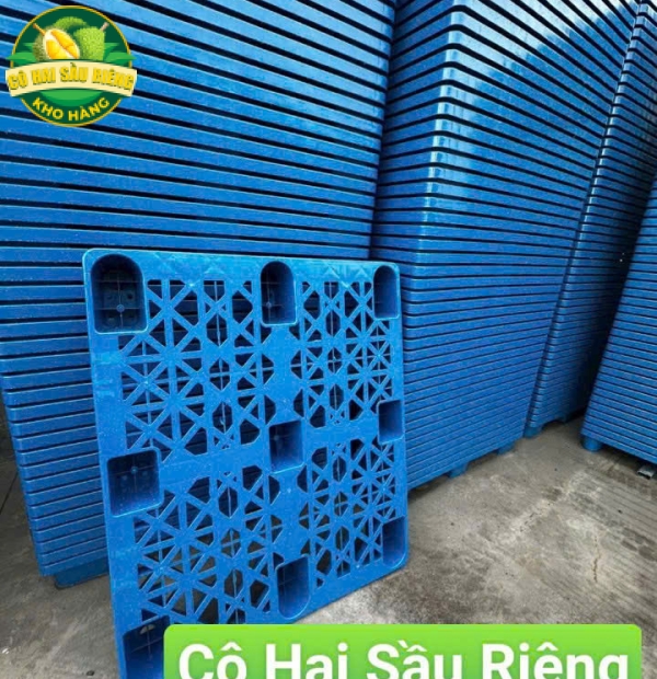 Pallet Nhựa Cô Hai