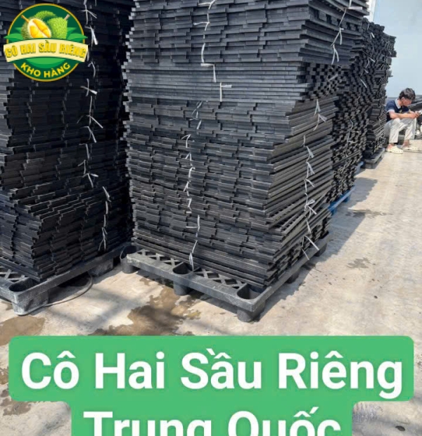 Vỉ Lan – Lót Mít Chất Lượng Cao 